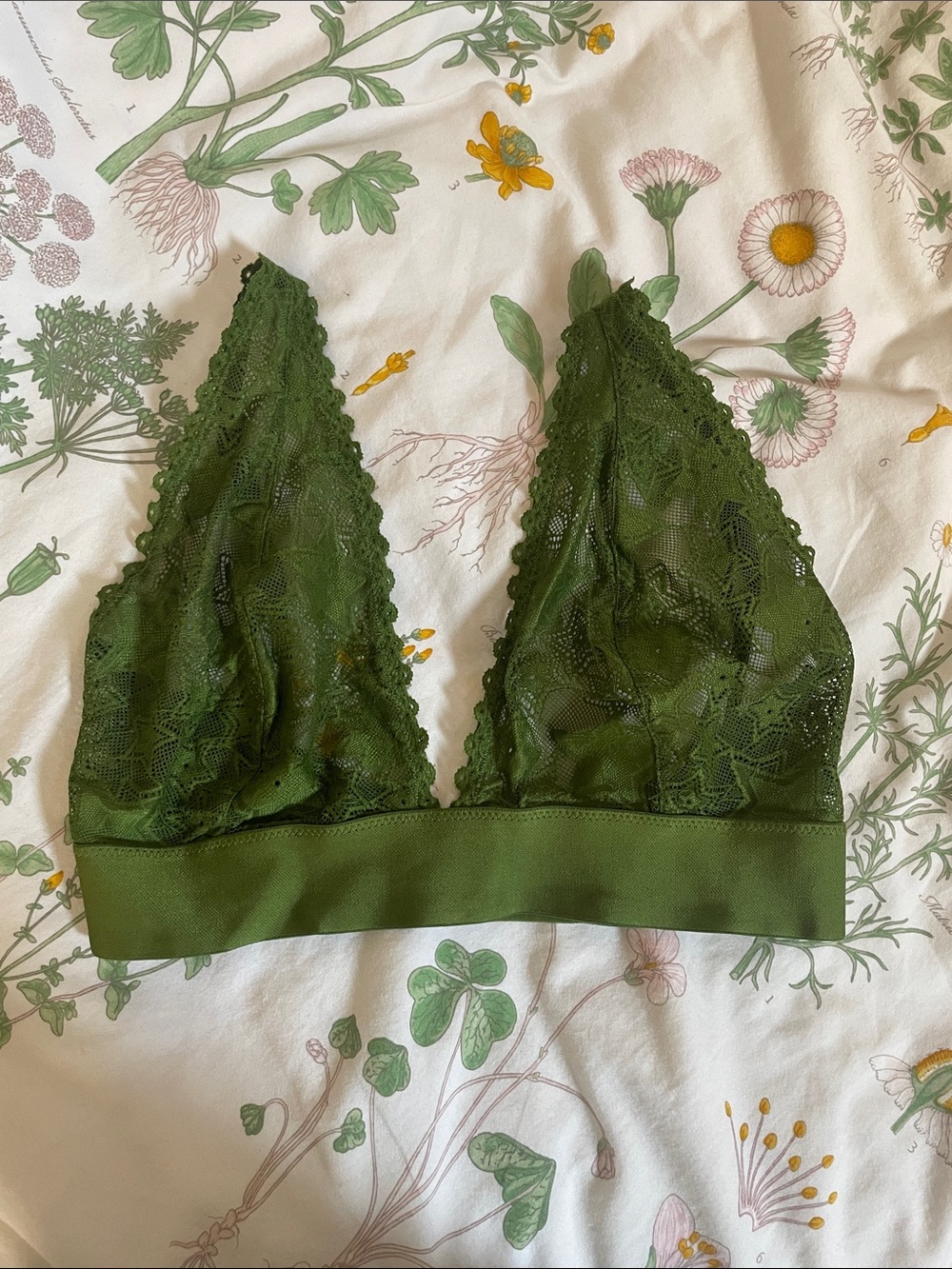 Parade Star Lace Triangle Bralette in Olive Green